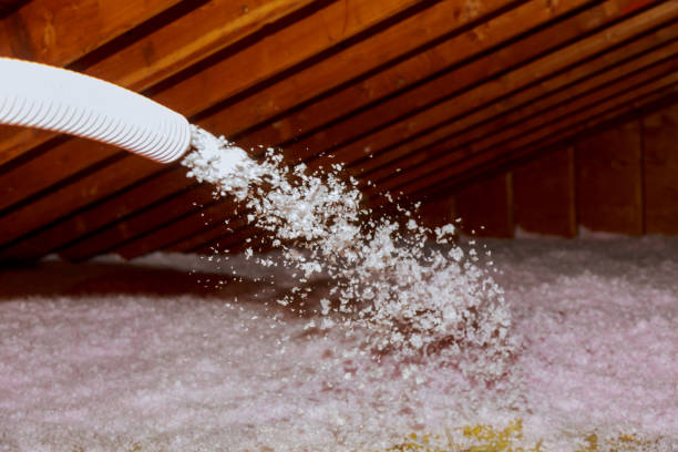 Best Insulation Removal  in Williamstown, PA