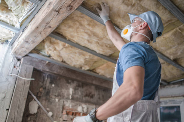 Insulation Replacement Services in Williamstown, PA