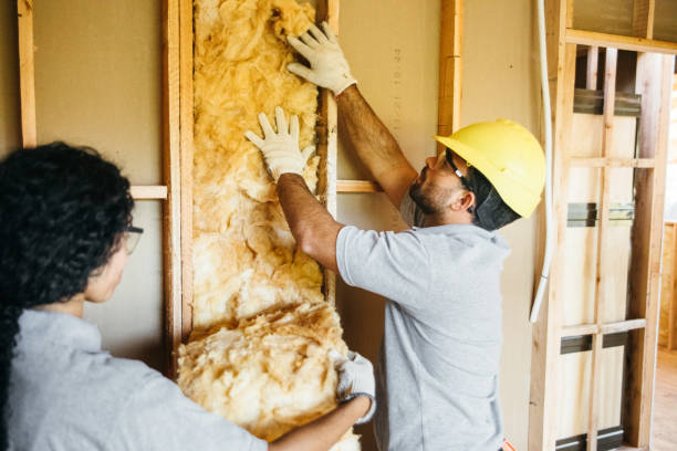 Insulation Contractors for Homes in Williamstown, PA