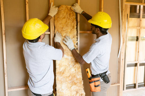 Best Professional Insulation Contractor  in Williamstown, PA