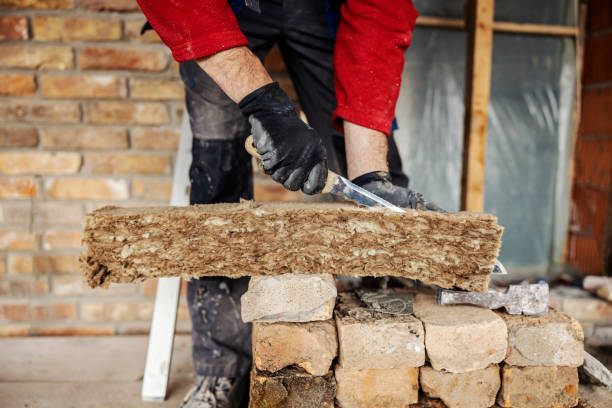 Best Cellulose Insulation  in Williamstown, PA
