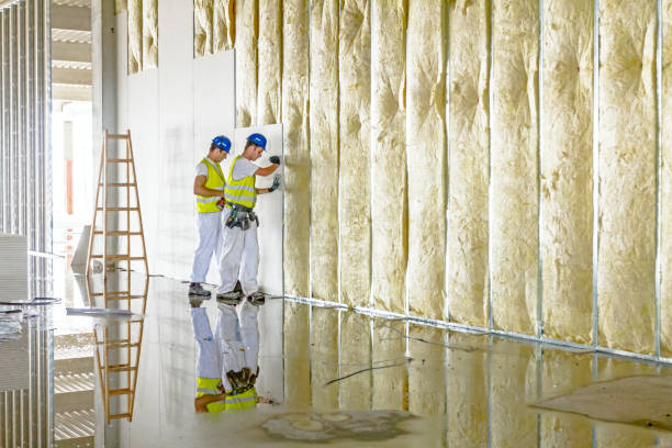 Best Spray Foam Insulation  in Williamstown, PA